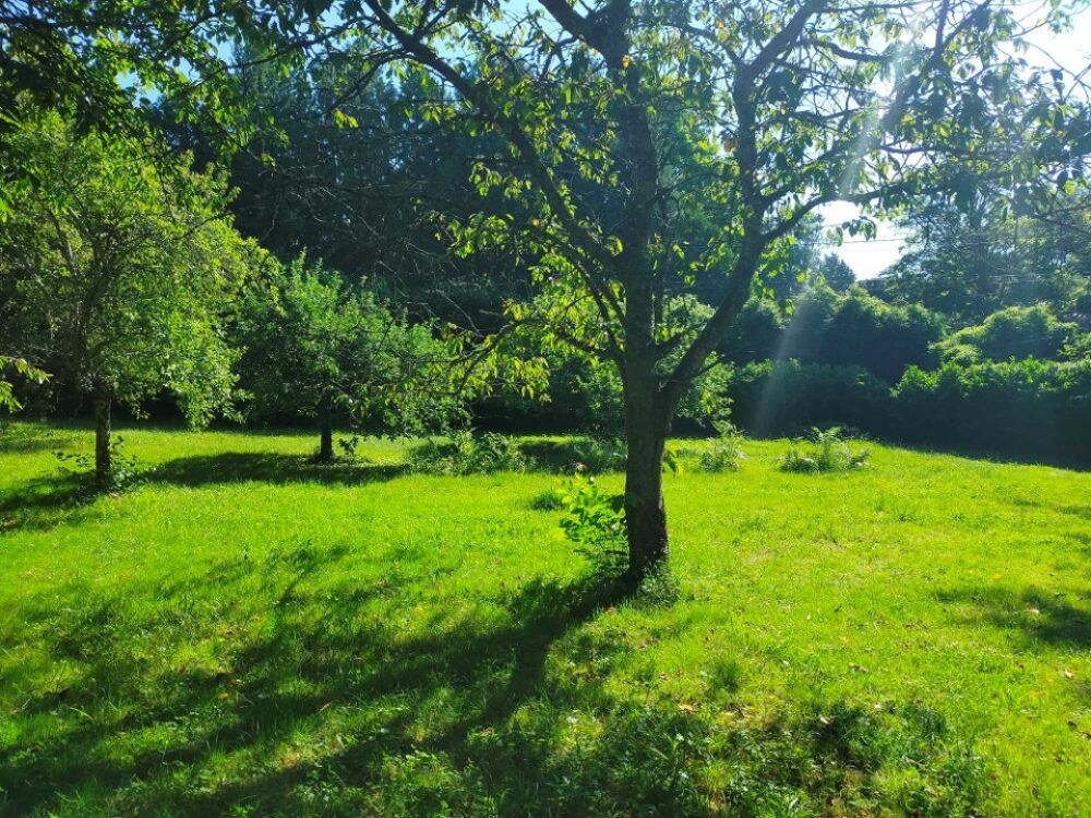 vente Terrain - 1213 m² Baignes-Sainte-Radegonde (16360)