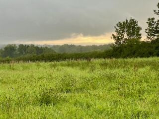  Terrain  vendre 1331 m