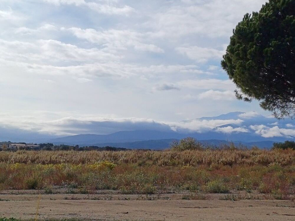 vente Maison - 4 pi�ce(s) - 110 m� Saint-Jean-Lasseille (66300)