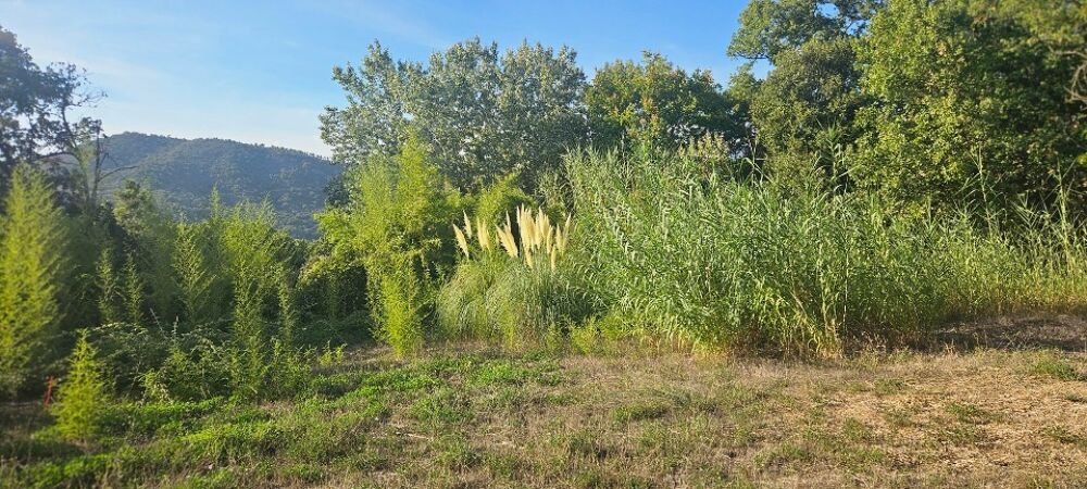 vente Terrain - 2385 m² Pégomas (06580)