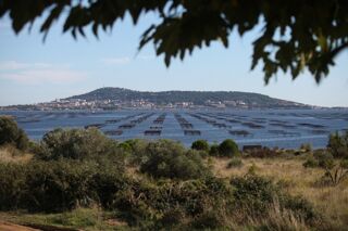  Maison 6 pi�ces 120 m� M�ze