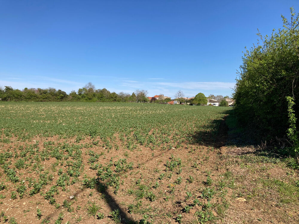 vente Terrain - 2247 m² Champagnolles (17240)