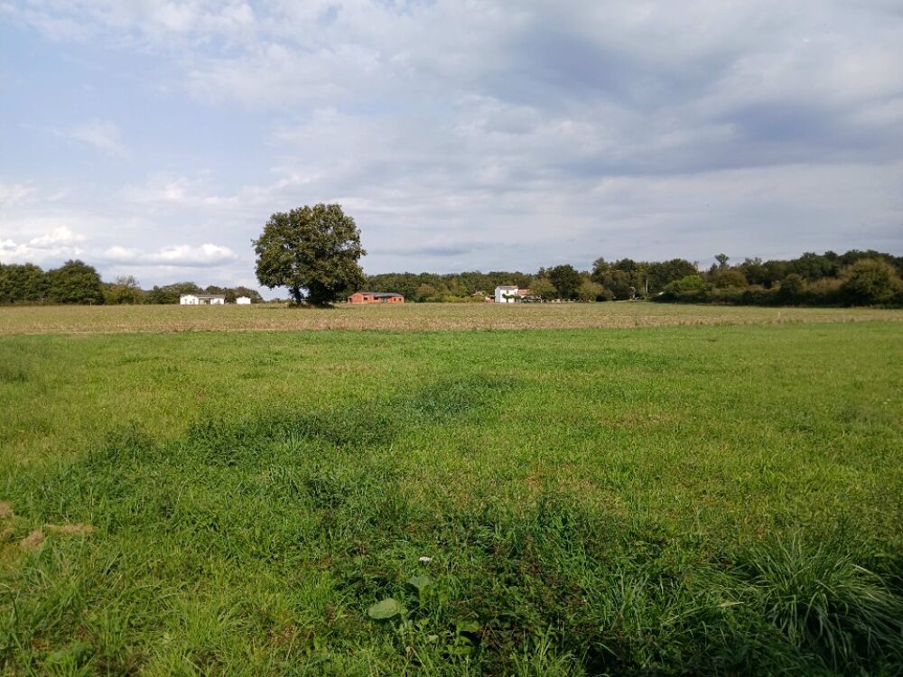 vente Terrain - 2852 m² Tocane-Saint-Apre (24350)