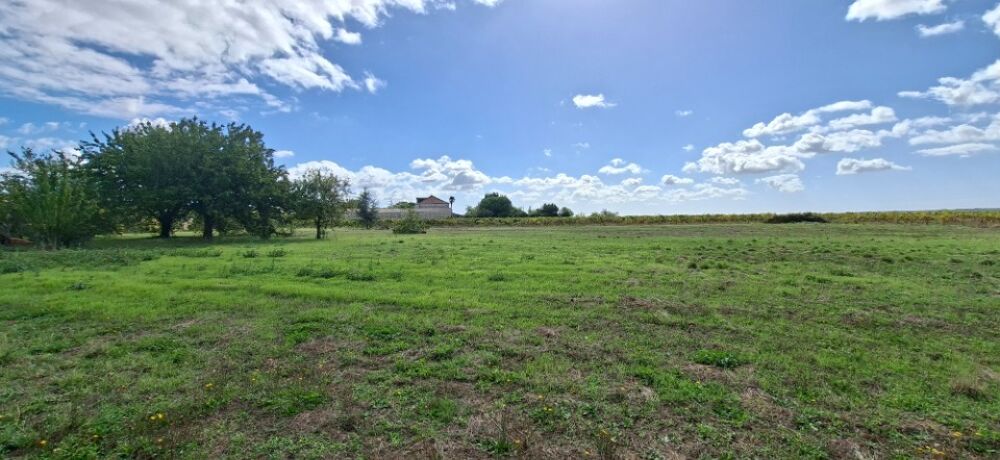 vente Terrain - 816 m² Étaules (17750)