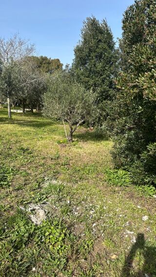  Terrain � vendre 1241 m�