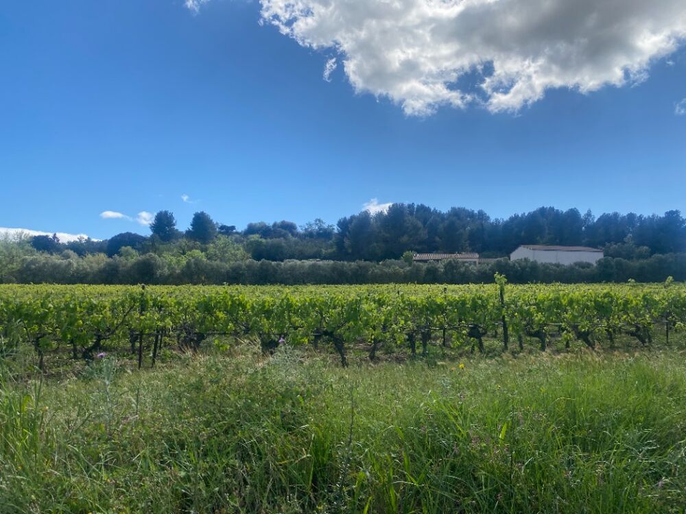 vente Terrain - 475 m² Ginestas (11120)