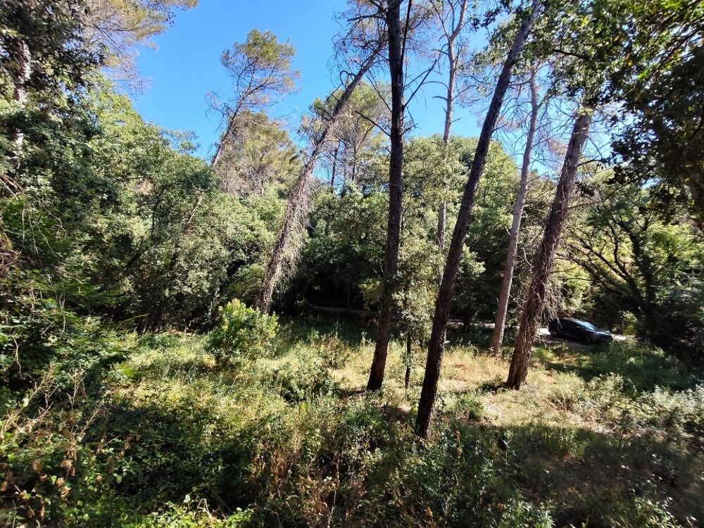 vente Terrain - 1880 m² Lorgues (83510)