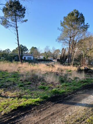  Terrain 717 m� Soullans