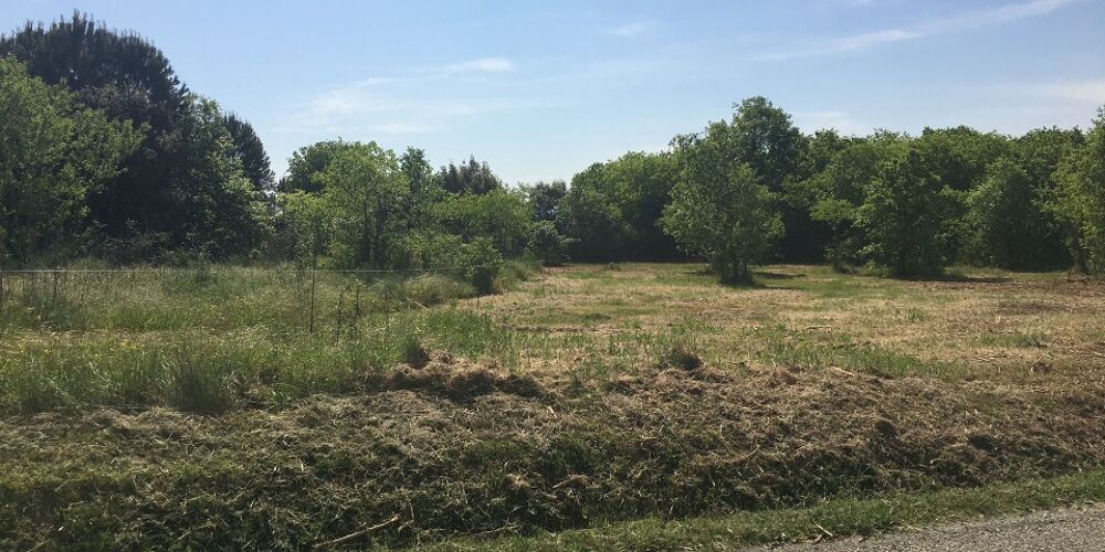 Projet de construction personnalisable en vente à Montpe....