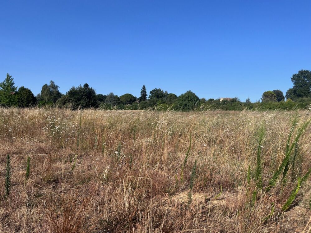 vente Terrain - 1055 m² Saint-Paulet-de-Caisson (30130)