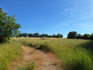  Terrain  vendre 316 m