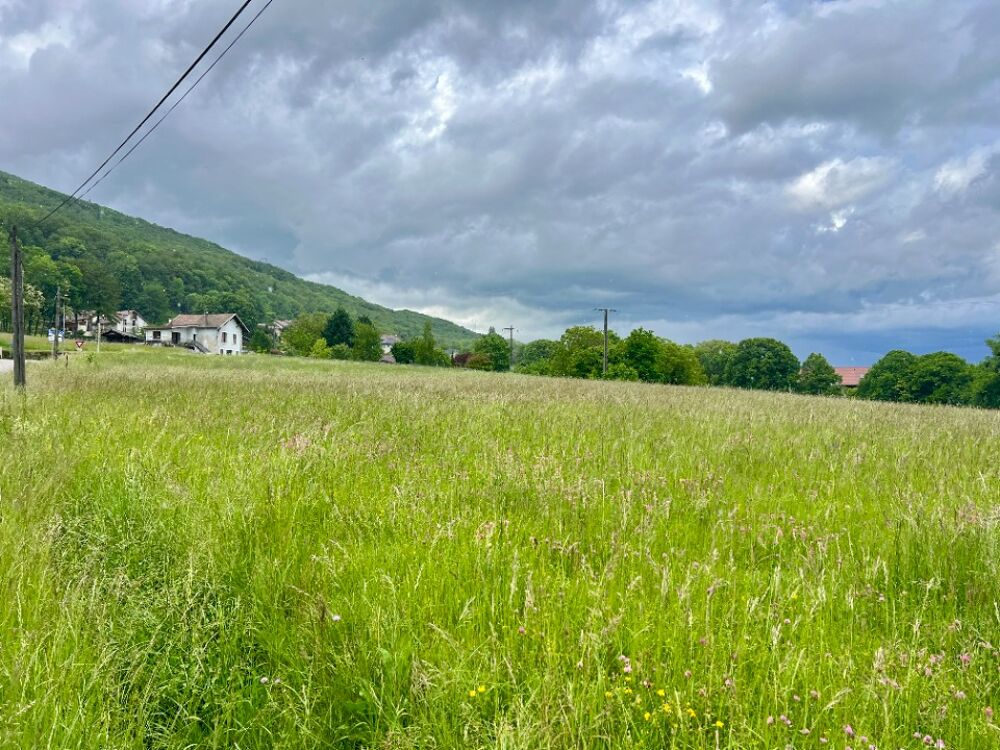 vente Maison - 4 pièce(s) - 90 m² Corbonod (01420)