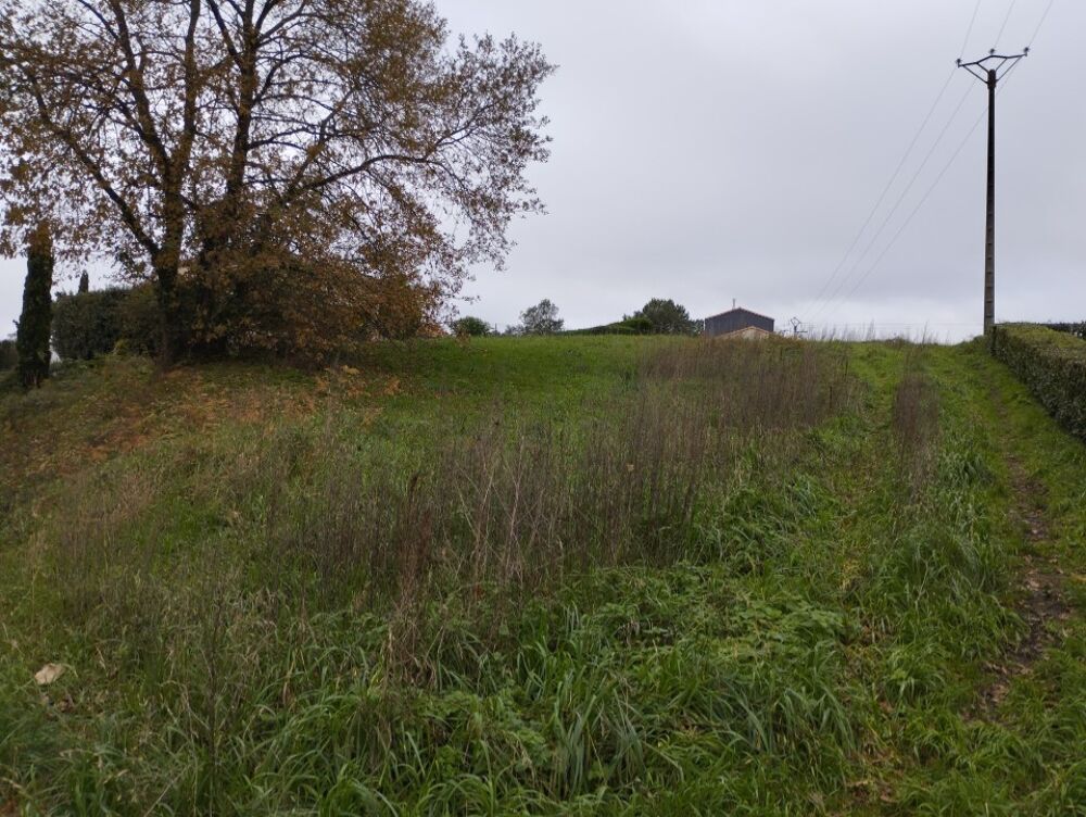 vente Maison - 4 pièce(s) - 80 m² Port-Saint-Père (44710)