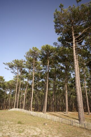  Maison � vendre 5 pi�ces 140 m�