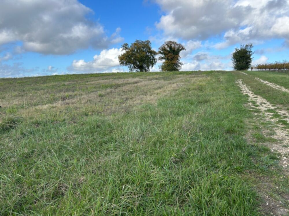 vente Terrain - 975 m² Podensac (33720)