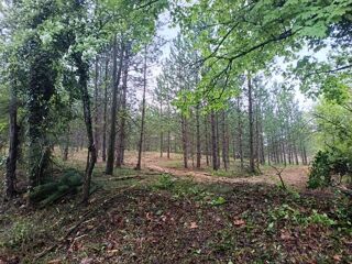  Terrain à vendre 501 m²