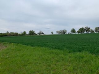  Terrain � vendre 498 m�