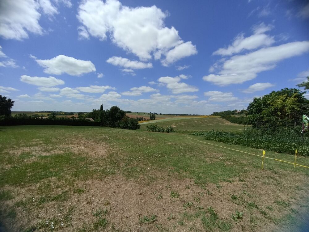 Maison neuve à construire + terrain à Sainte-Livrade - P....