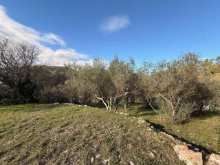  Terrain 1005 m� Carnoules