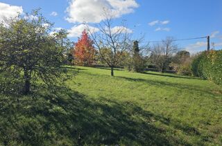  Terrain 1205 m� Ch�tenay