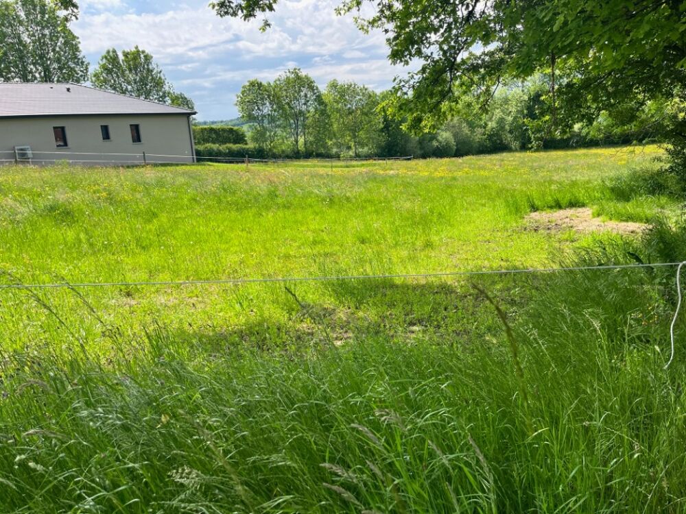 vente Terrain - 1600 m² Jussac (15250)