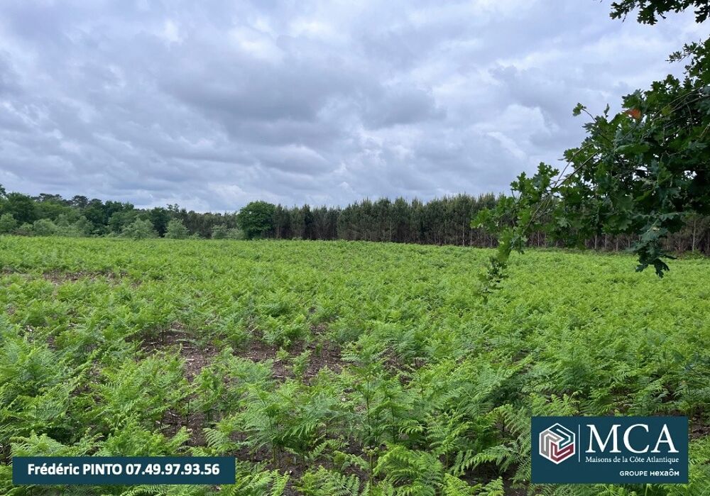 vente Terrain - 1172 m² Saint-Maurice-sur-Adour (40270)