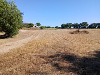  Terrain à vendre 175 m²