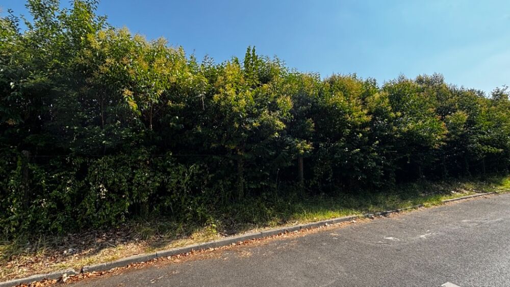 vente Terrain - 700 m² Lormont (33310)