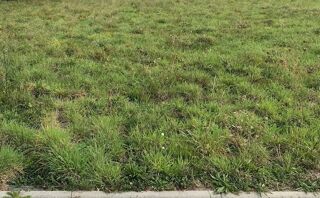  Terrain 700 m� Juvigny-sous-andaine