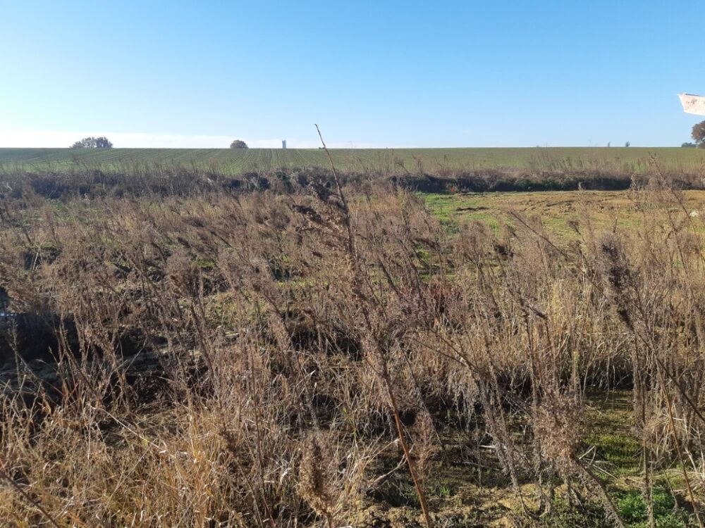 vente Maison - 6 pièce(s) - 125 m² Merville (31330)