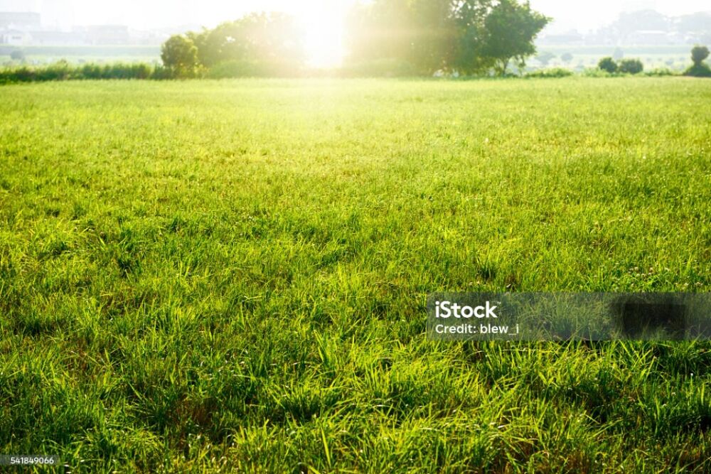 vente Terrain - 383 m² Saint-Priest (69800)