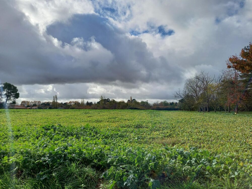 vente Maison - 6 pièce(s) - 99 m² Gaillac (81600)