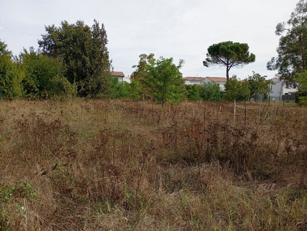 vente Maison - 5 pièce(s) - 120 m² Blanquefort (33290)