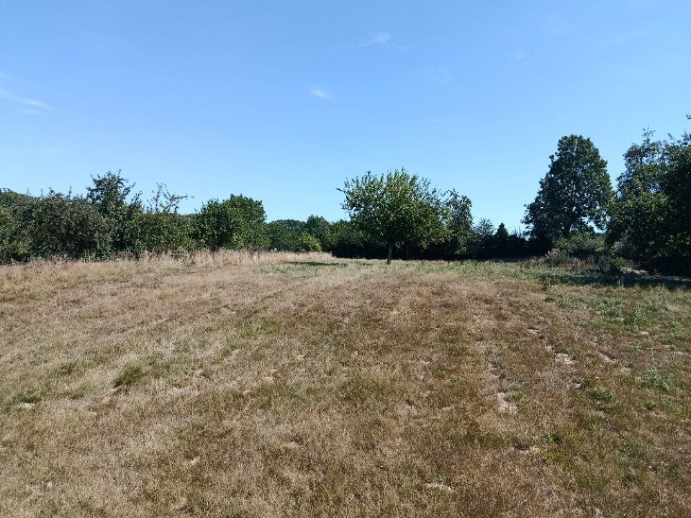 vente Terrain - 1000 m² Saint-Germain-sur-Eaulne (76270)