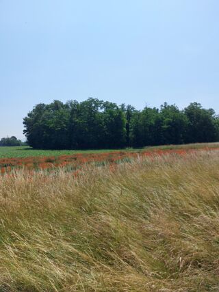  Terrain � vendre 367 m�