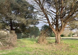  Terrain � vendre 980 m�