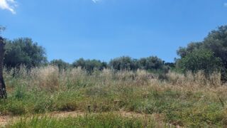  Terrain 2550 m� Opio