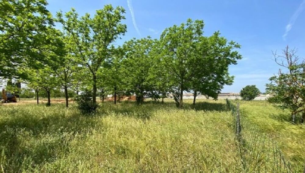 vente Maison - 6 pièce(s) - 180 m² Villegailhenc (11600)
