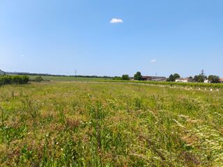  Terrain à vendre 995 m²