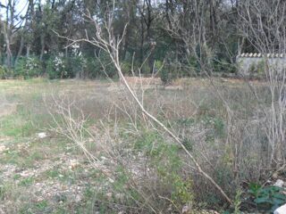  Maison 5 pi�ces 120 m� Cruviers-lascours