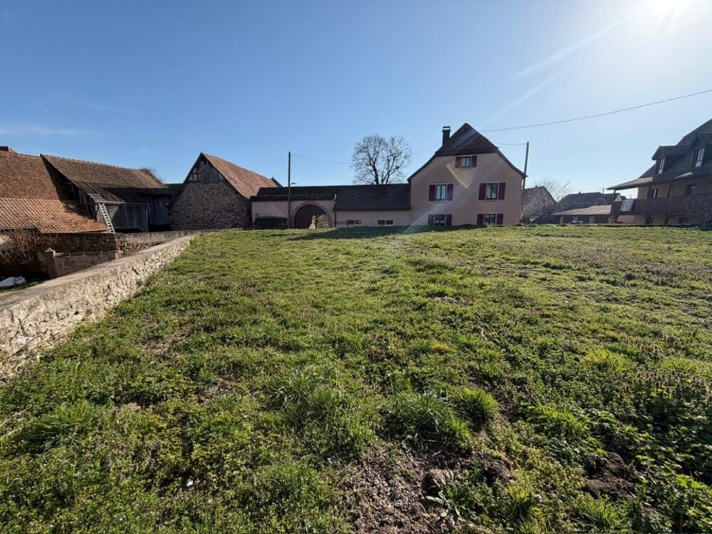 vente Terrain - 950 m² Gundolsheim (68250)