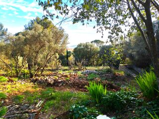  Terrain � vendre 442 m�