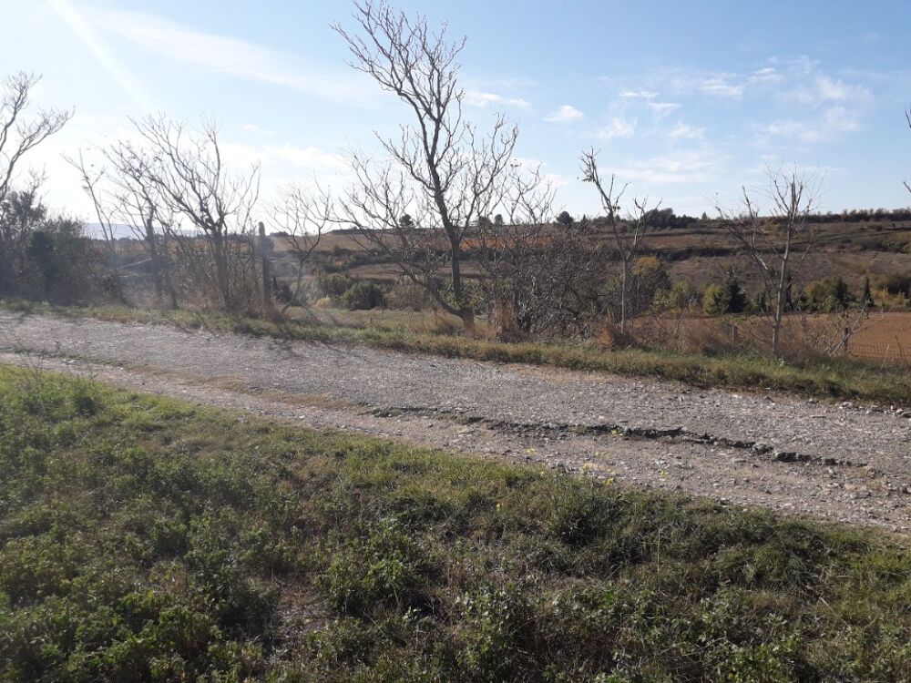 vente Terrain - 500 m� Rieux-Minervois (11160)