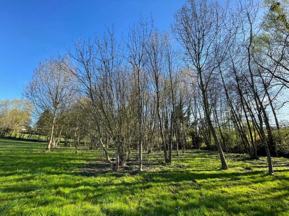 vente Terrain - 2210 m² Péronnas (01960)