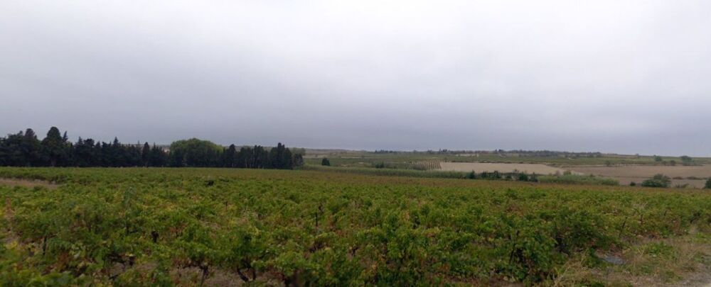 vente Terrain - 745 m² Ventenac-en-Minervois (11120)