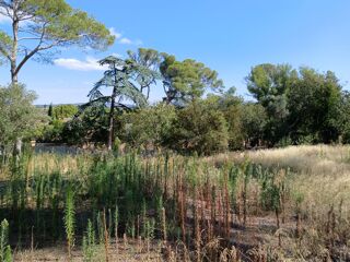  Terrain à vendre 216 m²
