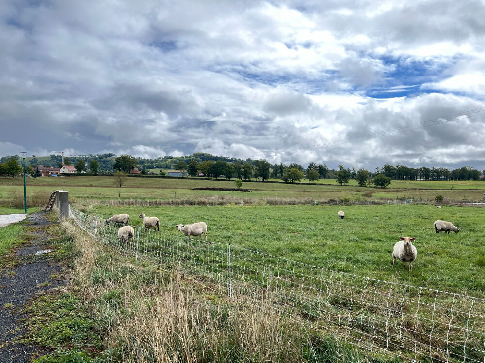 vente Terrain - 569 m� Naucelles (15250)