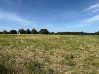  Terrain � vendre 955 m�