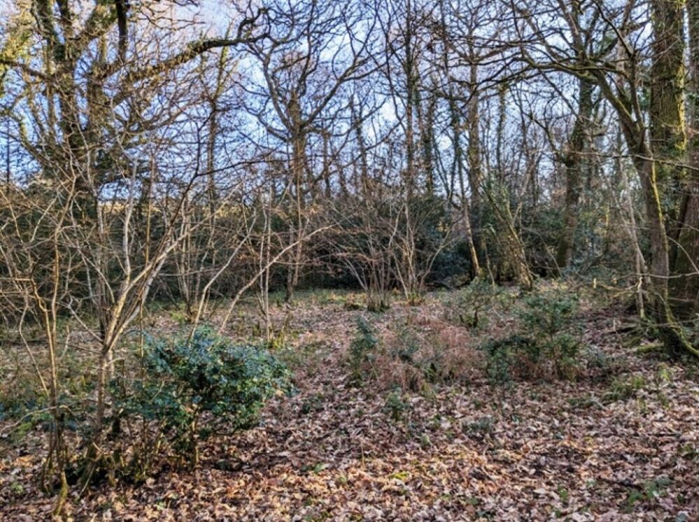 vente Terrain - 700 m² Raizeux (78125)