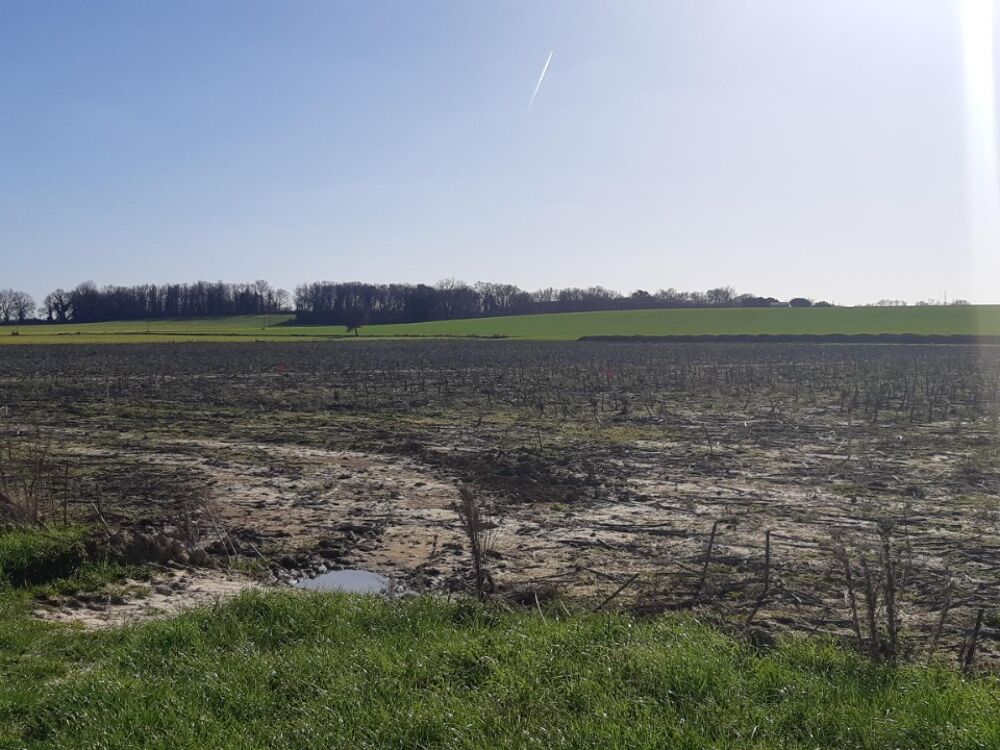 vente Terrain - 447 m² Grenade (31330)